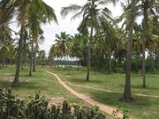 8 Acres of Lake side Residential land for sale in Murukkumpuzha.