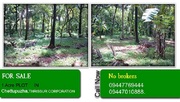 	1 Acre PLOT FOR SALE IN THRISSUR CORPORATION. (Rs. 1.5 Lacs/Cent)