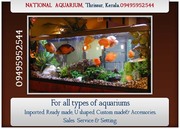 Aquarium in Thrissur,  Kerala-Imported or Custom made-NATIONAL AQUARIUM