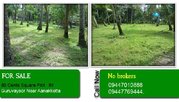 80 Cents Square Plot for sale in Guruvayoor Near Aanakkotta