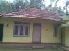 5 acre land for sale in Wayanad