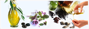Ayurveda Medicine |Cosmo vision Herbals Thrissur Kerala