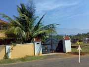 Residential land at andimadom, olavakode