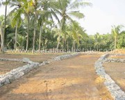 Residential Land for Sale at Kariavattom Thundathil,  Trivandrum (1080)