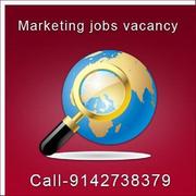 Job vacancy for marketing manager in Thrissur +91-9142738379. 