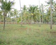 Residential Land for Sale at Neyyattinkara Olathanni,  Trivandrum (1131