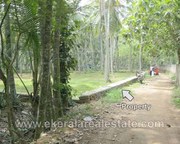 Residential Land for Sale at Vellayani Kakkamoola,  Trivandrum (1130)