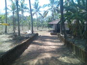 Plot for Sale in Palakkad