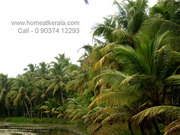 30 acre agriculture property for sale near Kottayam,  Kallara for 15000