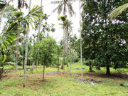 Residential plot for sale in Thrissur Town - +91-9447002704. 