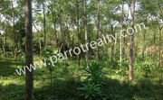 Discount Price! 1acre land in Palukunnu 