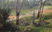 An Attractive 68cent plot near Kakkavayal 