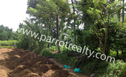 25cent land for sale in Neerittadi for 22000/cent 