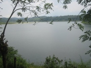 20 cents excellent waterfront land for sale in wayanad