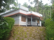 2 acres coffee plantation with house for sale in wayanad