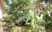 Investment in 60cent Plot in Arinjaarmala for 25000/cent 