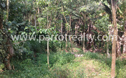 80cent land for sale in Malavayal for 11lakh