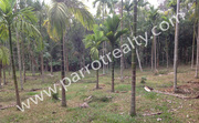 22cent land for sale in Arinjarmala for Rs.26000/cent