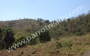 Reasonable price -6acre land for sale in kunjom, wayanad