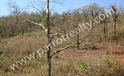 3acre land at reasonable price in Kunjom