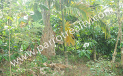 1acre land for sale in near Chundakara