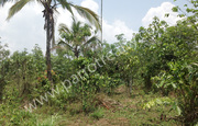 96cent Agricultural land for sale in Manalvayal for 13lakh