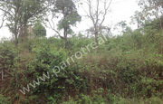 Very demanding 1acre land for sale in Kaniyaram