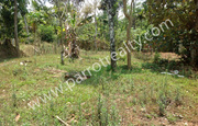 27cent land for sale in Kalluvayal at 30000/cent