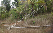 50cent land for sale in Payyampilly at 25000/cent