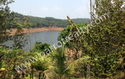 Fantastic 48 cent land for Sale in Banasura sagar dam site