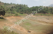 Beautiful view of 1.5 acre land in Padinjarathara