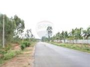 Land For Sale In Palakkad