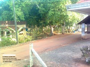 one acre bus route land for sale at cheap rate at attingal