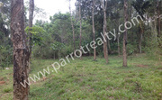 Good plot for Constructing House-48cent land in Chundakunnu