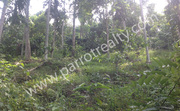 2.60acre land for sale in Thrikkaipetta