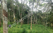 1.47acre land for sale in Mandad for 45lakh