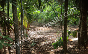 1acre land with a small house for sale near Chennalode