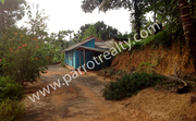 2.80acre land with a house for sale in Thavinjal