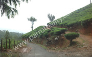 Beautiful scenic view of 1.70acre near Meppadi