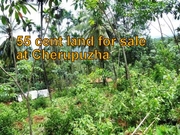 55 cent residential / agricultural land for sale at Cherupuzha