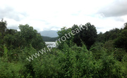  30cent land for sale in Ambalavayal