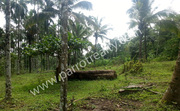 1 acre land for sale in Near Koleri