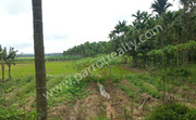 2.39 acre land for sale in Poothadi