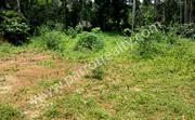 10 cent house plot for sale in near Anjukunnu