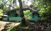 5.5 cent land with small house for sale in near Kenichira.wayanad