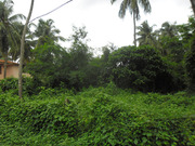 Land for sale in Puthur