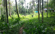 30 cent house plot for sale in near Kenichira