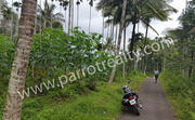 90 cent land land for sale in near Kenichira.