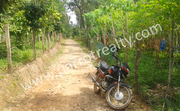 55 cent land for sale in Batheri Price 7 lakh only !