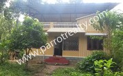 26 cent land with Teras house for sale in Near Muthanga 